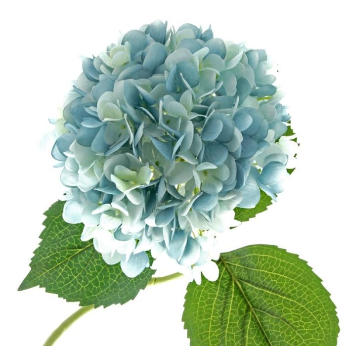 Single Hydrangea 82cm Light Blue