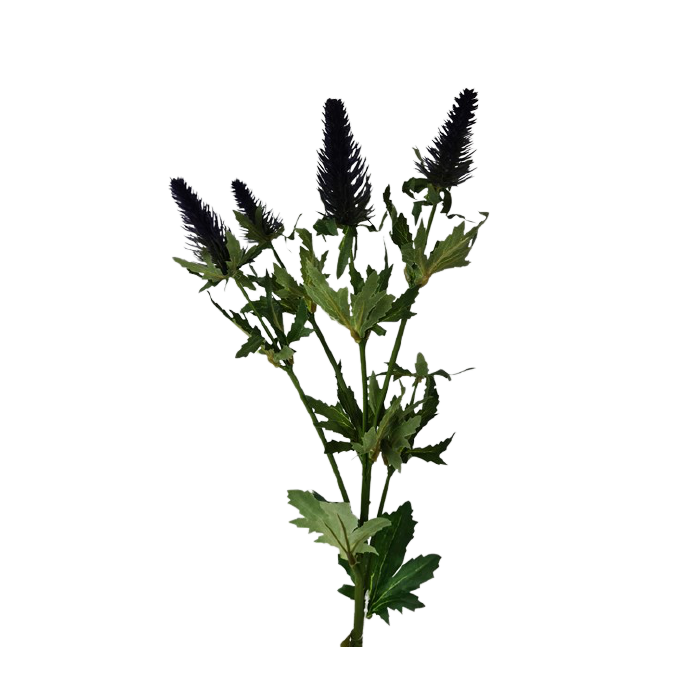 77cm  Eryngium Spray