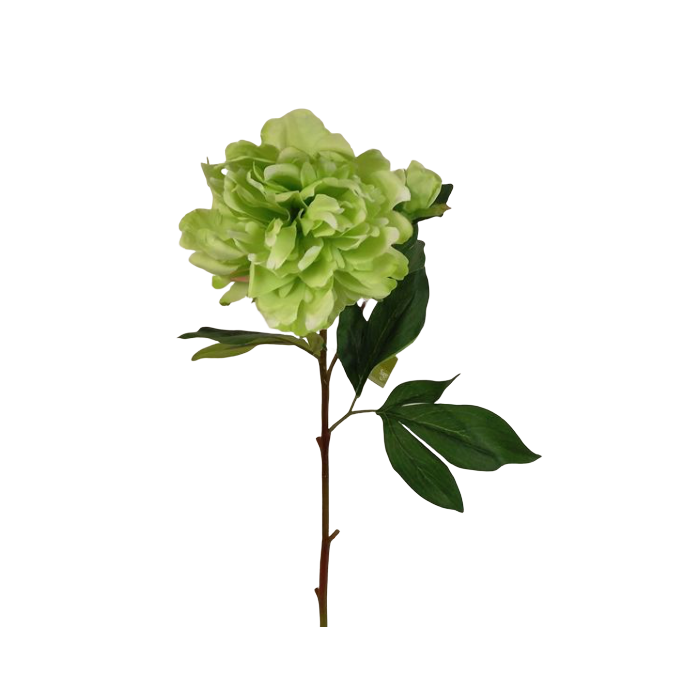66cm Peony Green