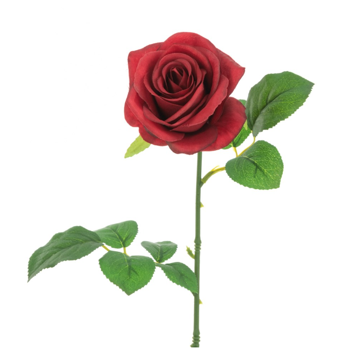 Gemma Single Rose - 64cm Red