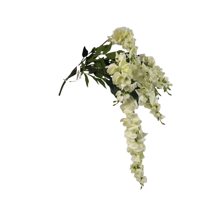80cm Cream Wisteria Bush