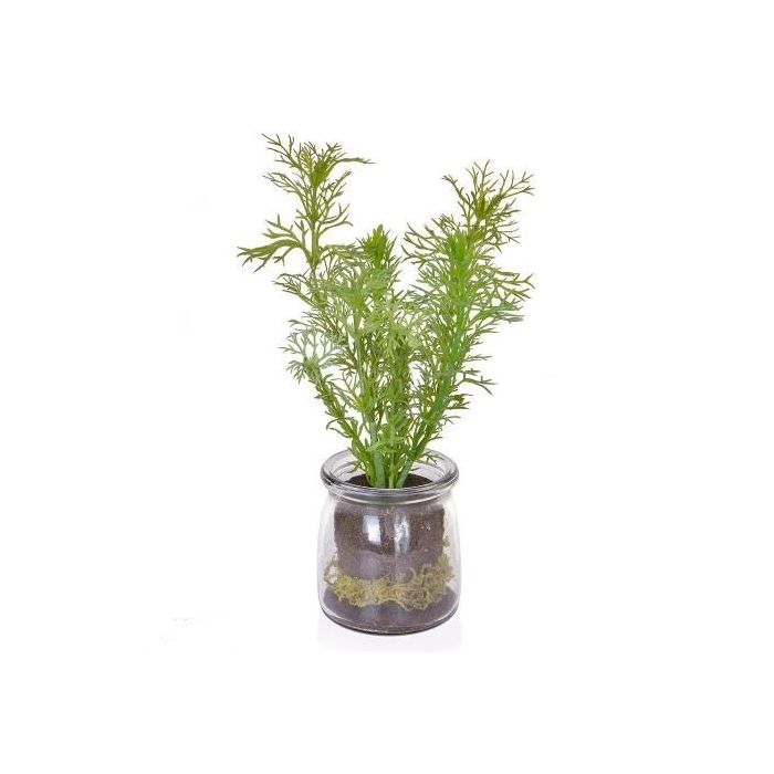Dill In Glass Jar