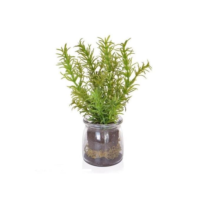 Rosemary In Glass Jar