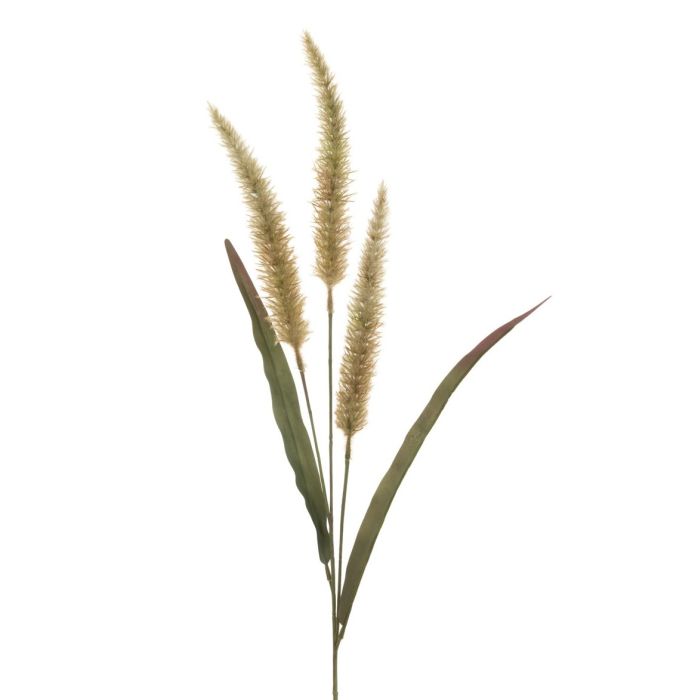 Antique Fountain Grass 94cm