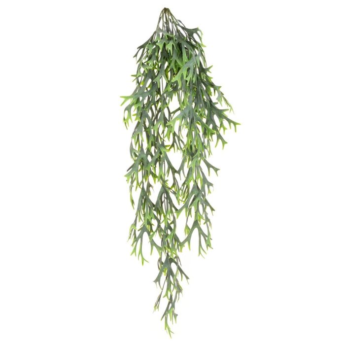 UV Citronella Hanging Bush