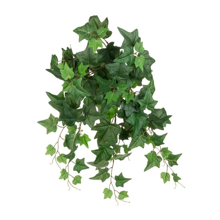 ECO UV English Ivy Bush Trail - 58cm