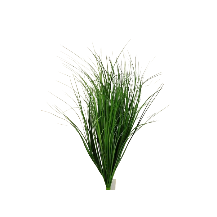Dune Grass Bunch 67cm