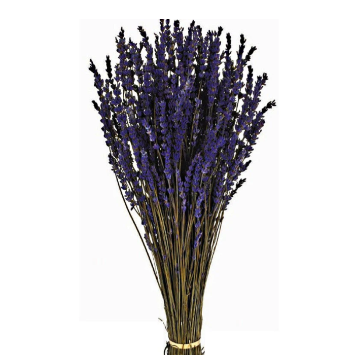 Preserved Lavender Bunch 150g