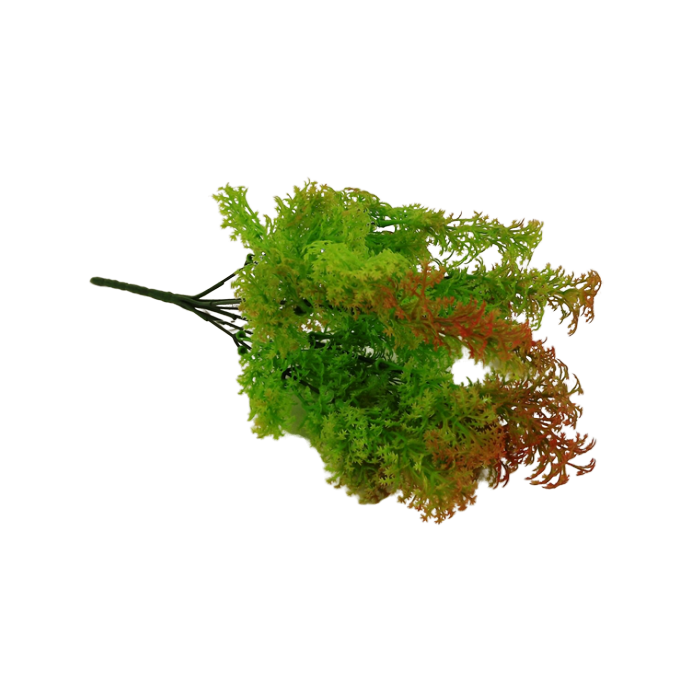 Fish Grass Bush 35cm