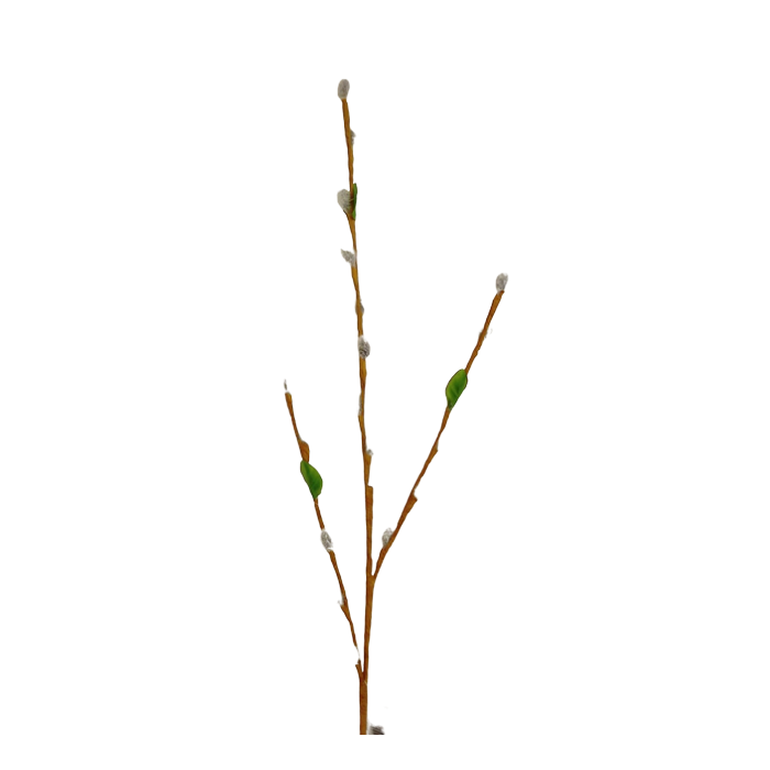 80cm Pussy Willow Stem