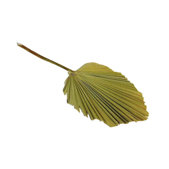 Kingspear Natural