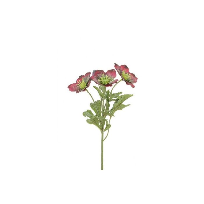 Iced Hellebore Spray 38cm Burgundy