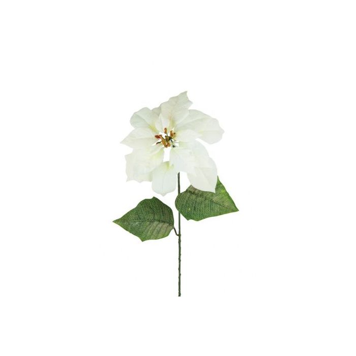 Velvet Poinsettia 75cm White