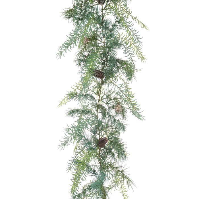 Cedar Asparagus Garland 203cm