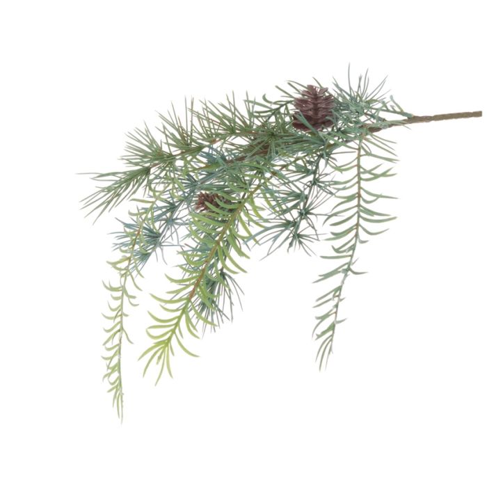 Cedar Asparagus Spray 51cm