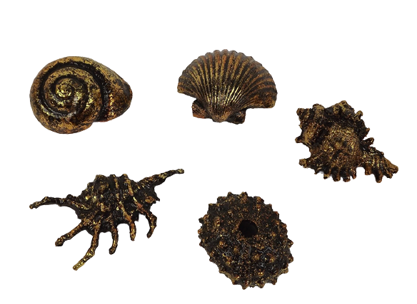 9cm Shell Set Of 5 Copper