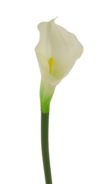 Real Touch Calla Lily 68cm White/Cream