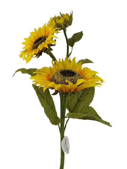 Sunflower Yellow/Green 88cm