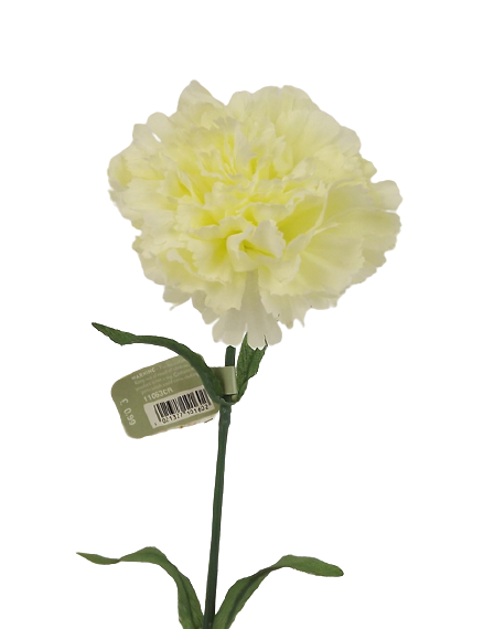 Carnation Stem Cream 71cm
