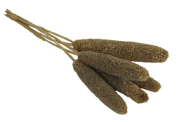 Babala Thick W/Seeds Natural