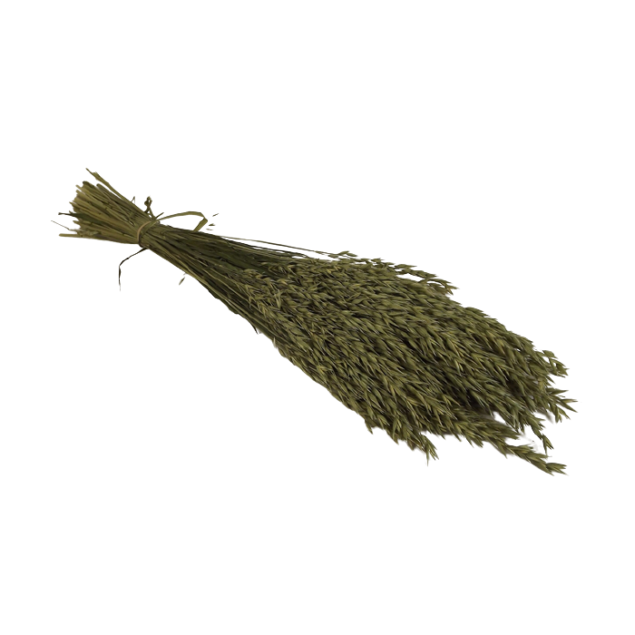 Avena Sativa (Oats) Natural 100g (Spanish)