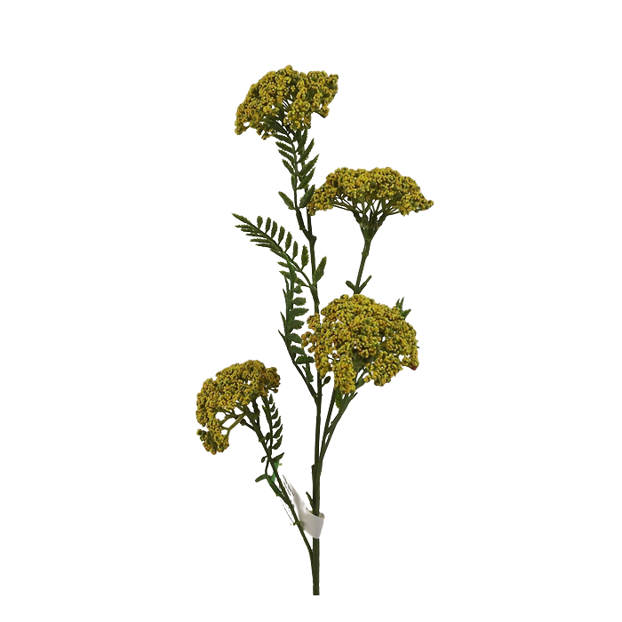 Achillea spray x4 yellow 60cm