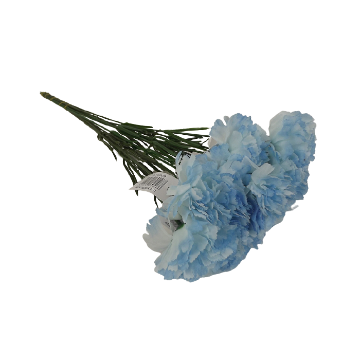 Bloom Carnations Baby Blue x 12 Stems