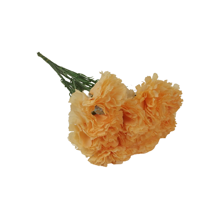 Bloom Carnations x 12 Stems Peach