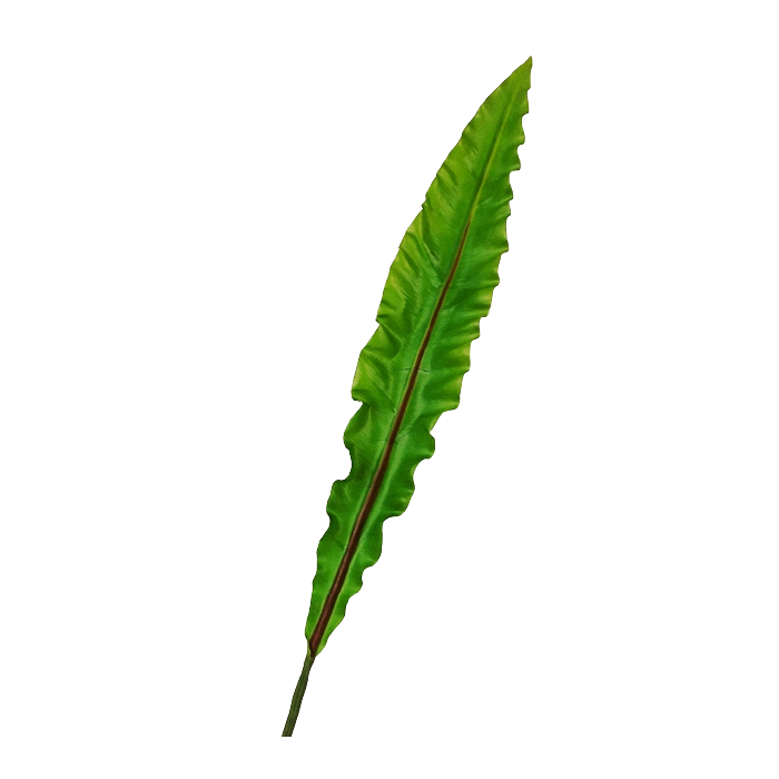90cm Asplenium Leaf