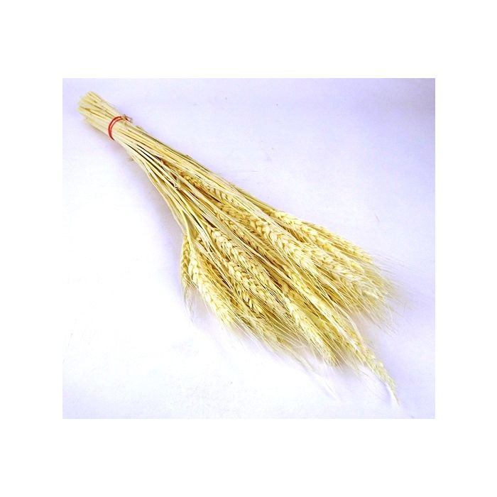 Barley Bleached Bunch