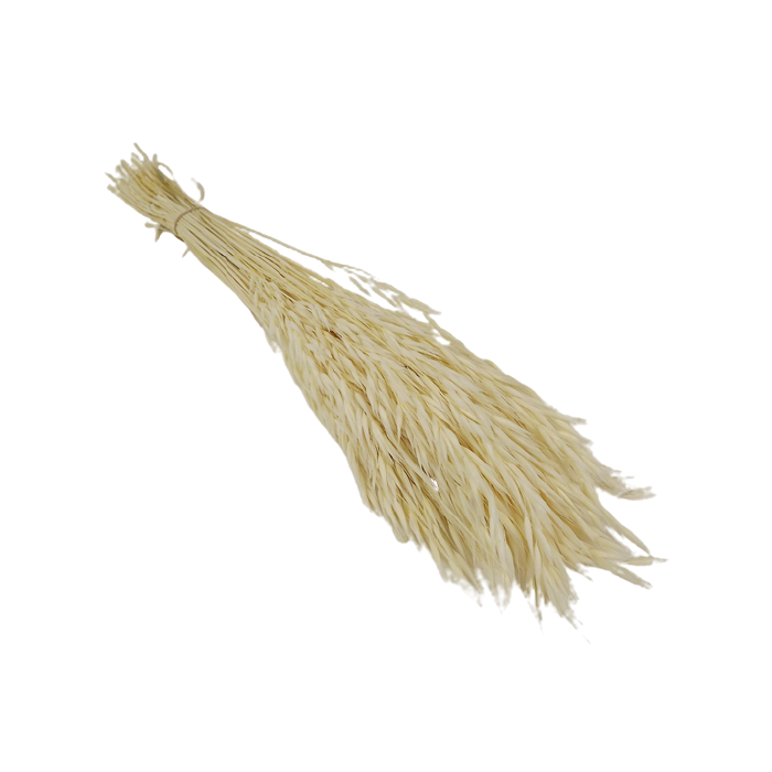 Avena Sativa (Oats) - White x 200g