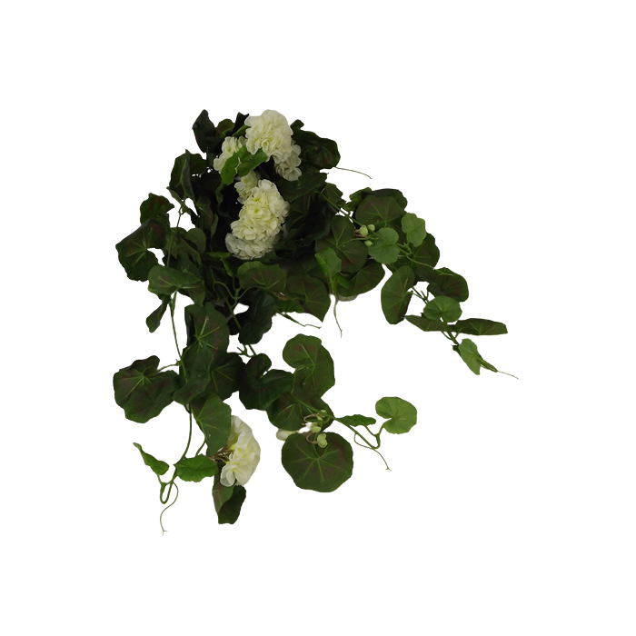 Geranium Bush Vines Cream