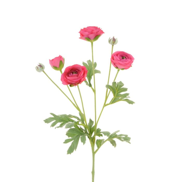 Ranunculus Spray 67cm Beauty