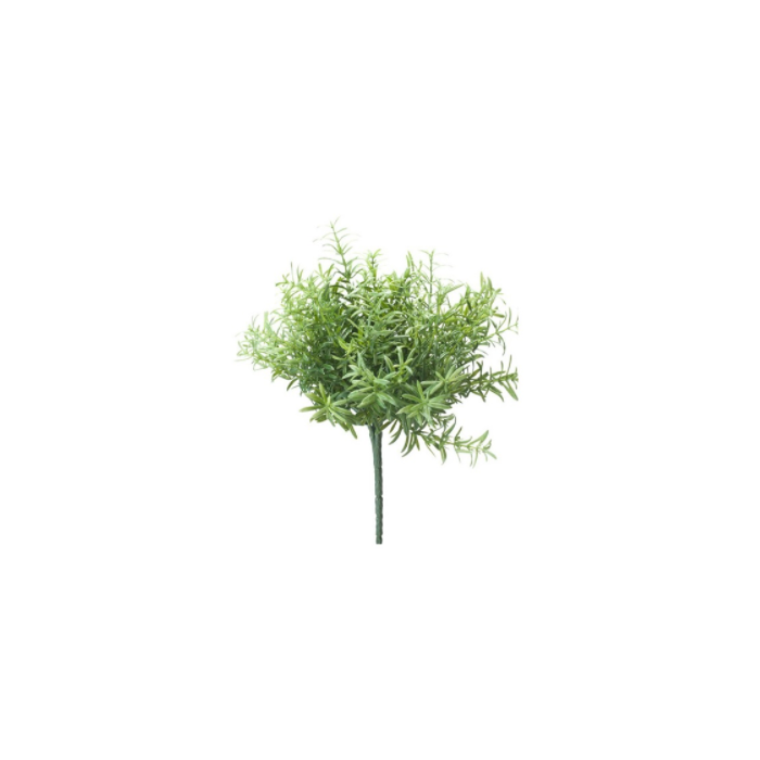 Rosemary Bush Lt Green 22cm