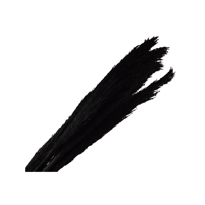 Cana Silvestre - Black x 6pcs