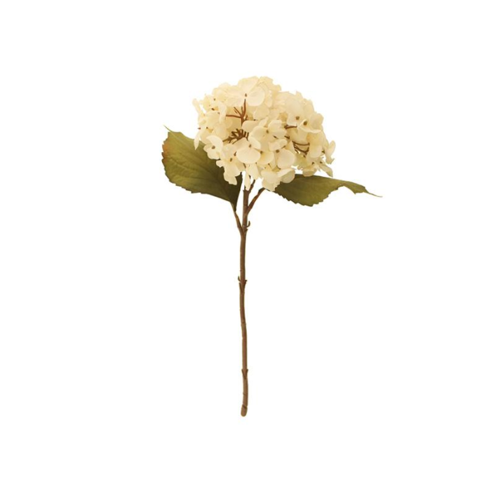 46cm Dried Look Hydrangea Single Cream