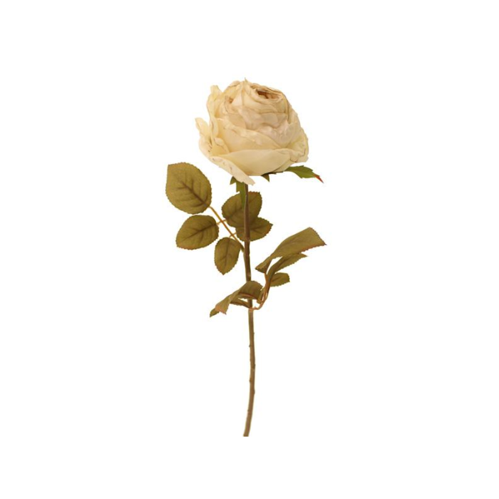 68cm Dried Look Rose Bud Single Cream