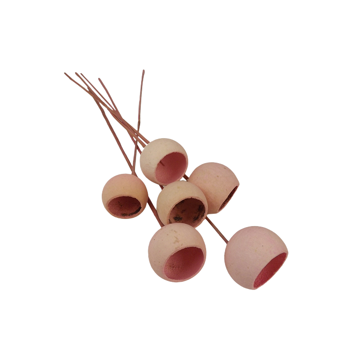 50cm Bell Cup Stem Pink