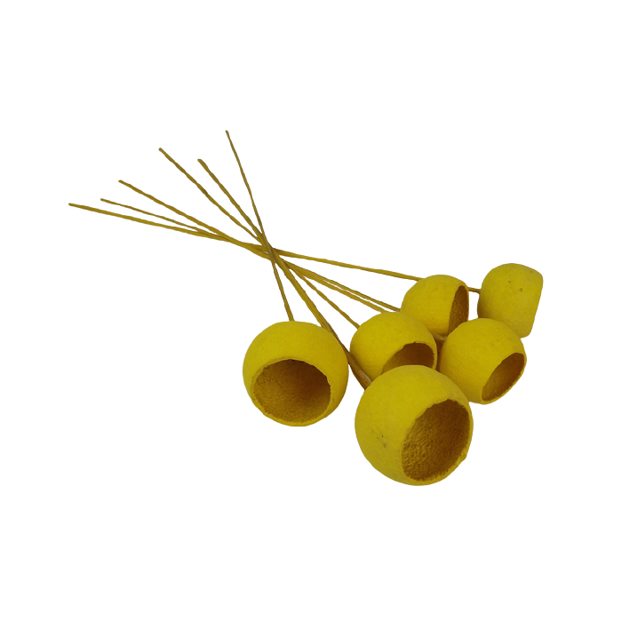 50cm Bell Cup Stem Yellow