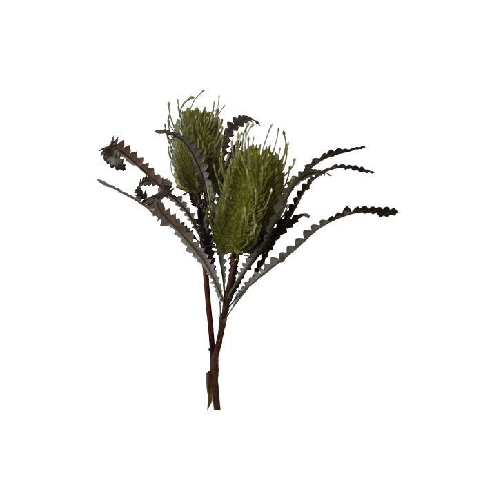 74cm Dried Look Protea Spray 2 heads Green
