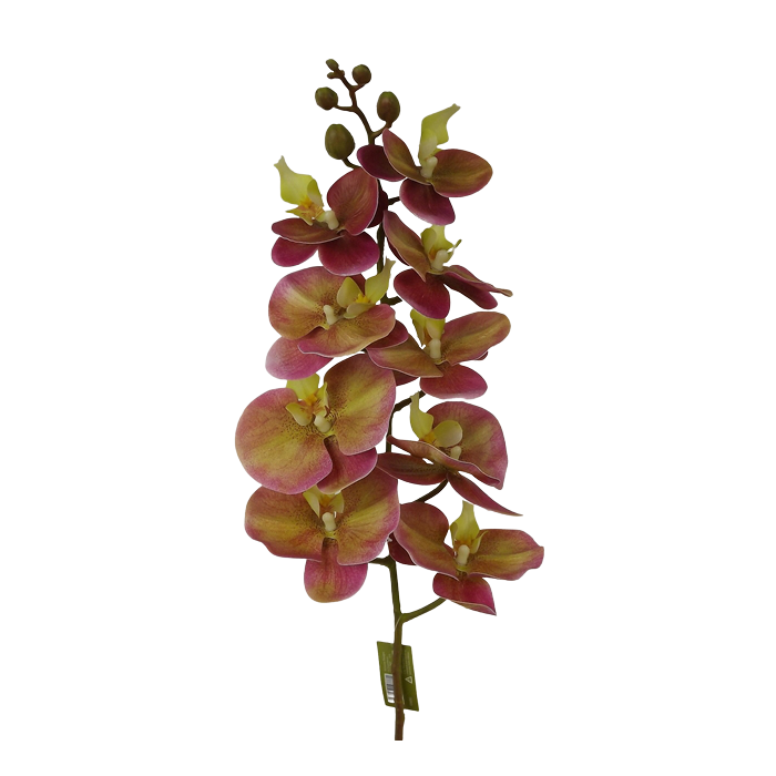 100cm Phalaenopsis Orchid Spray Red/Pink