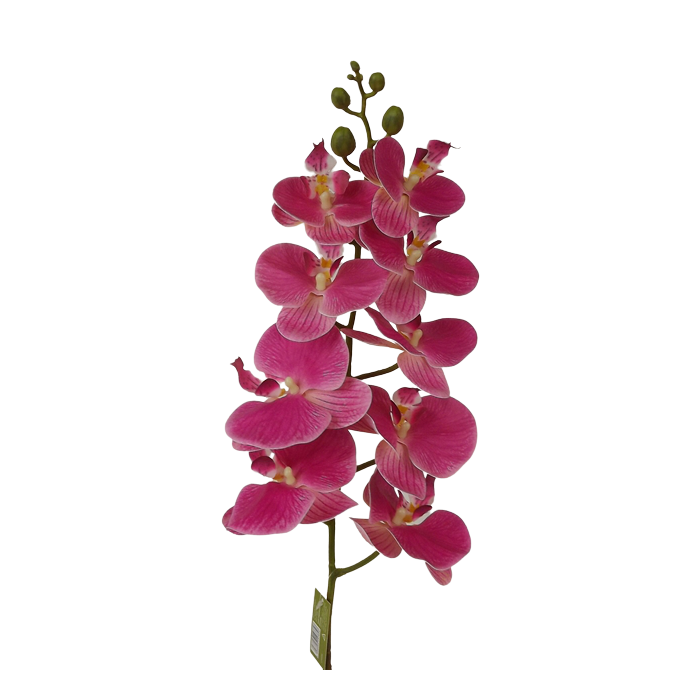 100cm Phalaenopsis Orchid Spray Fuchsia