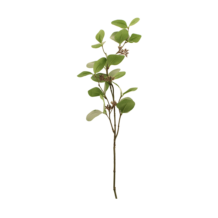 75cm Seeding Eucalyptus Green