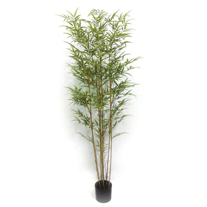 Potted Bamboo Tree 180cm