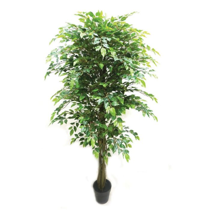 Real Touch Potted Ficus Green 180cm