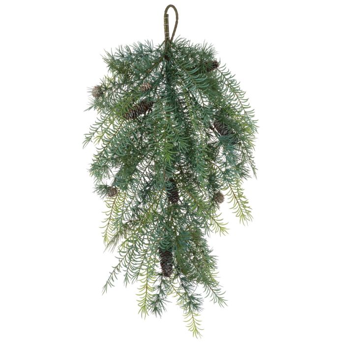 Cedar Asparagus Teardrop 86cm