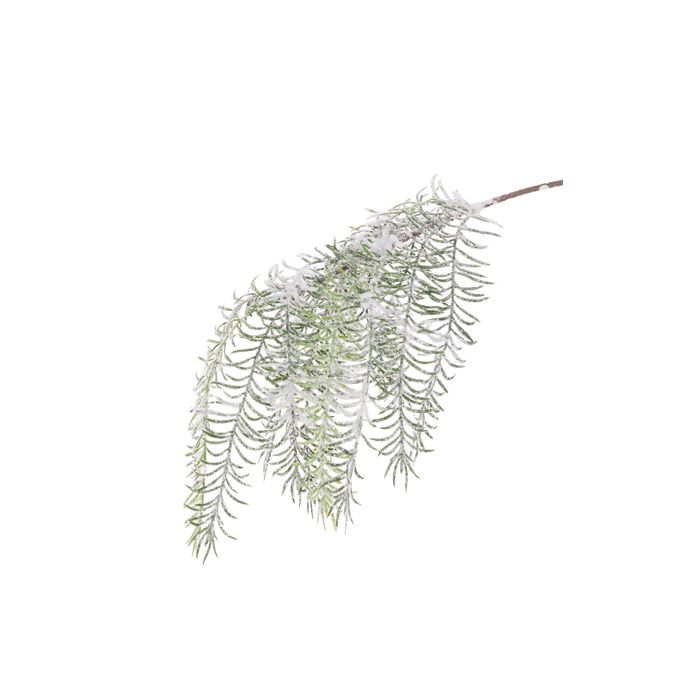 Snowy Asparagus Spray 58cm