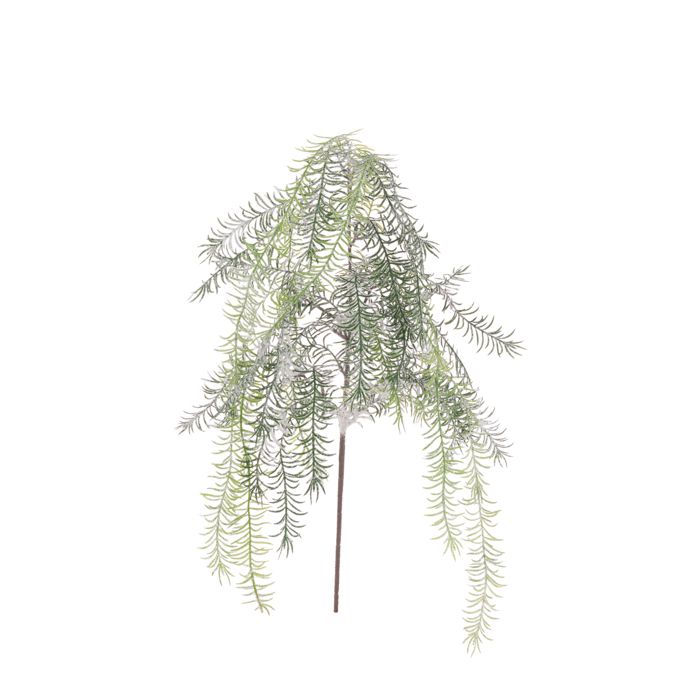 Snowy Asparagus Spray 104cm