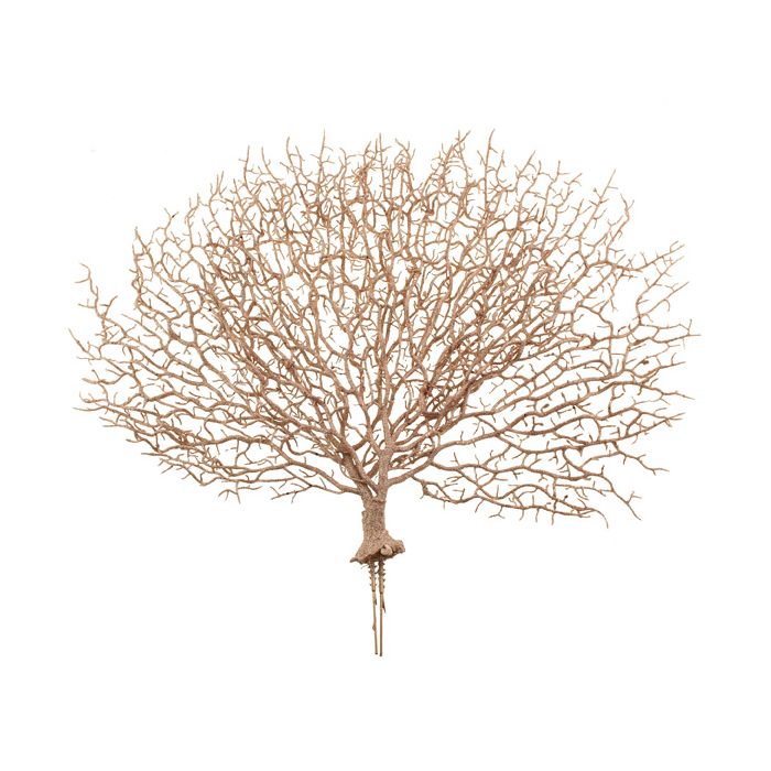 50cm Glittered Coral Pick Pink