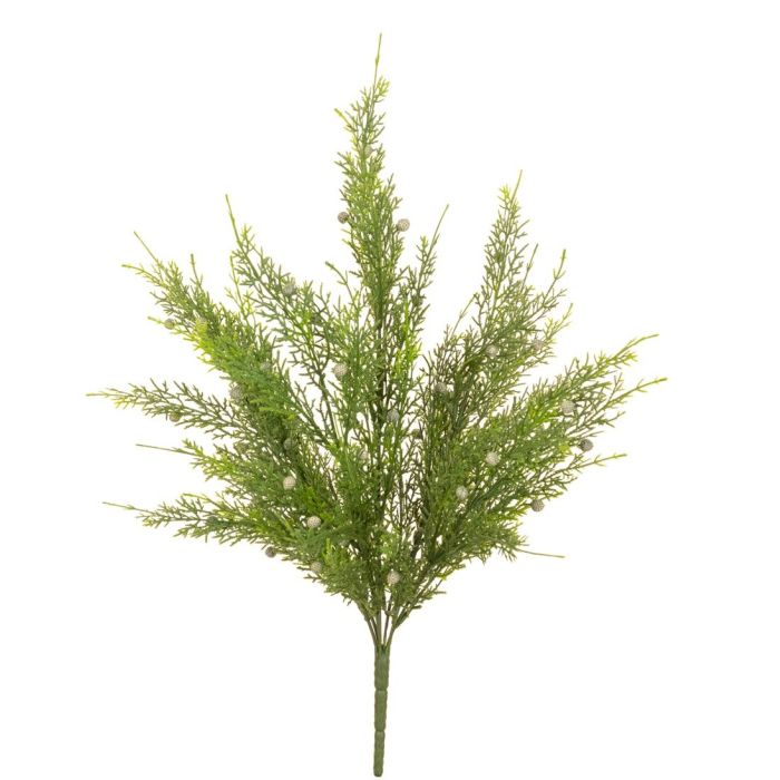 Cypress Bush 50cm UV Protected